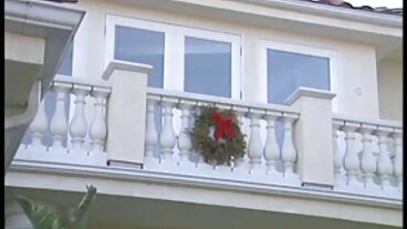 휴즈 씨의 거대한 동 체험