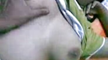 세 에 맞게 아기 싸움 위에 누구의 젖은 고양이 이다 두드리고 처음으로