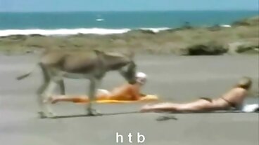 뮤즈 신